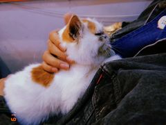 -万小咖.猫咖(中山路天虹店)