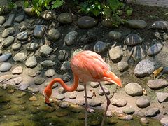 -广东茂名森林公园