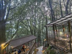 -巴倒烫陆派火锅山庄(南山总店)