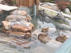 -郑州银基黄帝宫御温泉