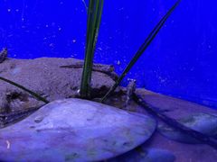 -上海海洋水族馆