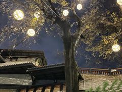 -闲亭(九眼桥店)