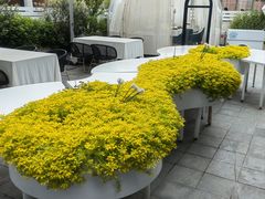 -黛遇·黛瓦宴花园餐厅