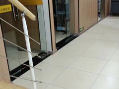 -米苏动物医院·犬猫专科·骨科外科内窥镜