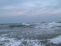 -渡海小渔村.老辈日照菜