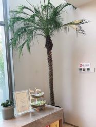 -安吉拉青春化管理中心