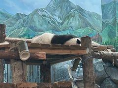 -武汉动物园