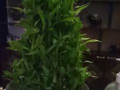 -泰迈·影院式足道SPA(世纪大道店)