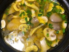 -呼吸森林·生态农庄农家乐私房菜