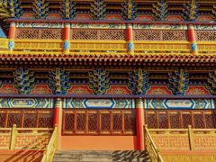 -东莞市大岭山森林公园