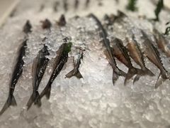 -食光全日制餐厅(绵阳首开喜来登酒店)
