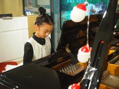 -珠江钢琴艺术中心(文一路店)