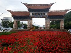 -洱海月湿地公园