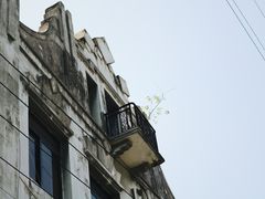 -墨池公园