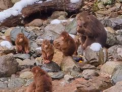 -西岭雪山大飞水景区