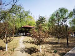 -元大都城垣遗址公园