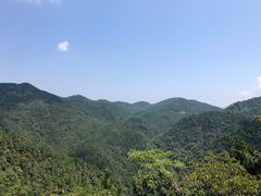 -四明山国家森林公园