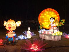 -北戴河集发农业梦想王国