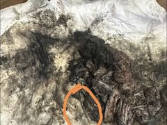 -御面斋精品面馆