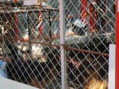 -华声天桥民俗文化园