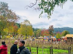 -塔川景区
