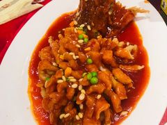 松鼠桂鱼-苔圣园酒家(尊木汇国际艺术广场店)