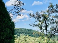 -棒棰岛宾馆景区