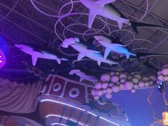 -烟台海昌鲸鲨海洋公园