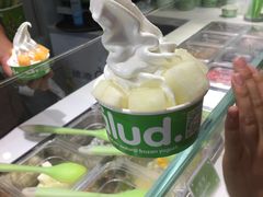 -Salud撒露欧洲冻酸奶(蓝色港湾店)