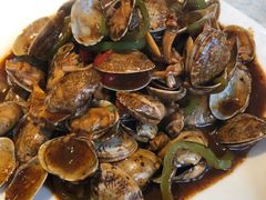 辣炒花蛤-粤秀小厨·广式早茶(辽宁路店)