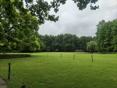 -上海共青森林公园