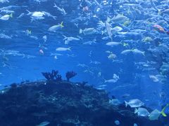 -海合安成都极地海洋公园