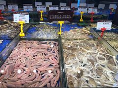-船歌·鱼水饺青岛菜(闽江二路店)