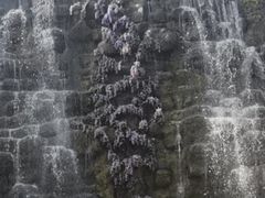 -沂蒙云瀑洞天景区