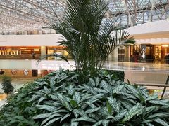 景观位-云海肴·汽锅鸡·云南菜(高德置地店)