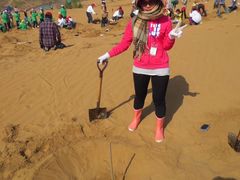 -恩格贝生态旅游区