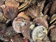 -宾朋海鲜特色美食餐厅·纯手工鲅鱼水饺(兴海路店)