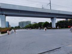 -宝安西湾红树林湿地公园