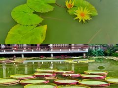 -国家植物园