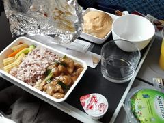 -新加坡航空公司(ION)