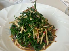 -十二毡房蒙餐·蒙古包