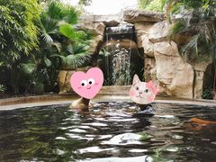 -台山颐和温泉城