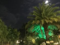 -罗浮山嘉宝田森林温泉度假酒店