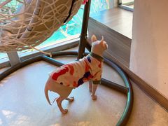 -藏猫猫咖啡主题馆(中央大道店)