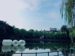 -莲湖公园