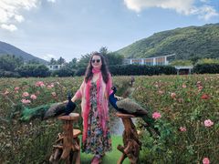 -亚龙湾国际玫瑰谷