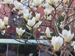 -首都师范大学(良乡校区)