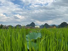-普者黑风景区-青龙山