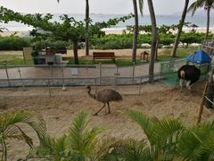 -三亚亚龙湾天域度假酒店