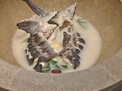 -滇小鱼·云南野生菌火锅(上杭路店)